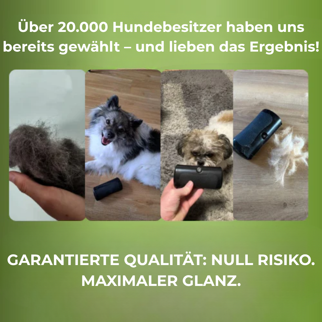 FellGlanz™ – Sanfte Pflege für ein gesundes und glänzendes Fell