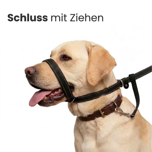 ZugStopp™ - Kein Zerren mehr — auch bei großen Hunden!