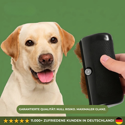 FellGlanz™ – Sanfte Pflege für ein gesundes und glänzendes Fell