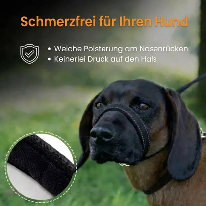 ZugStopp™ - Kein Zerren mehr — auch bei großen Hunden!