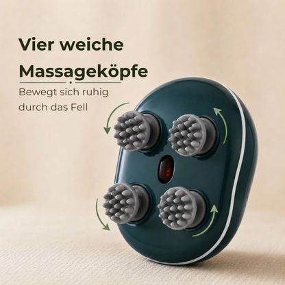 PurrMasse™ - Gib deinem Haustier die Massage die es nie missen möchte!