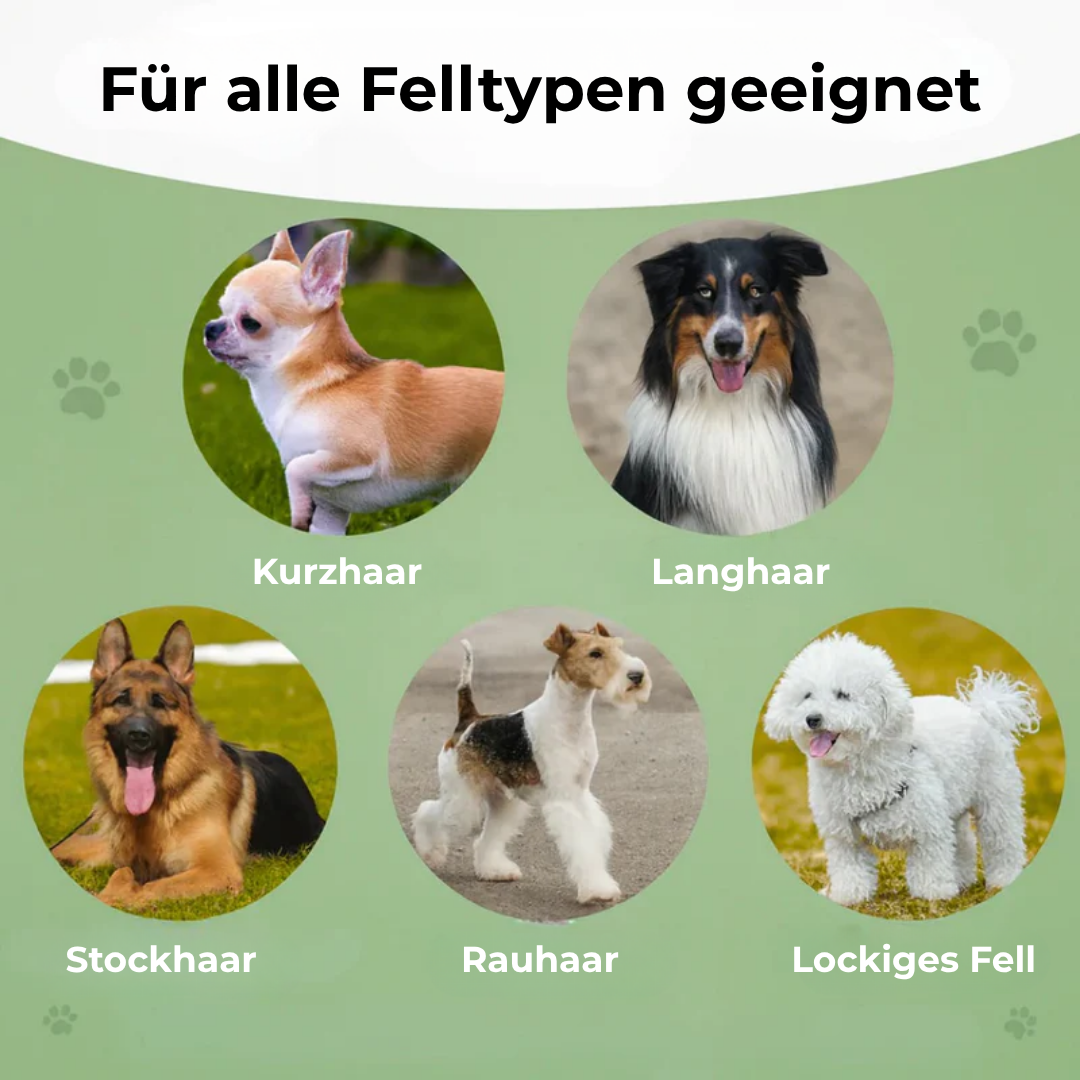 FellGlanz™ – Sanfte Pflege für ein gesundes und glänzendes Fell