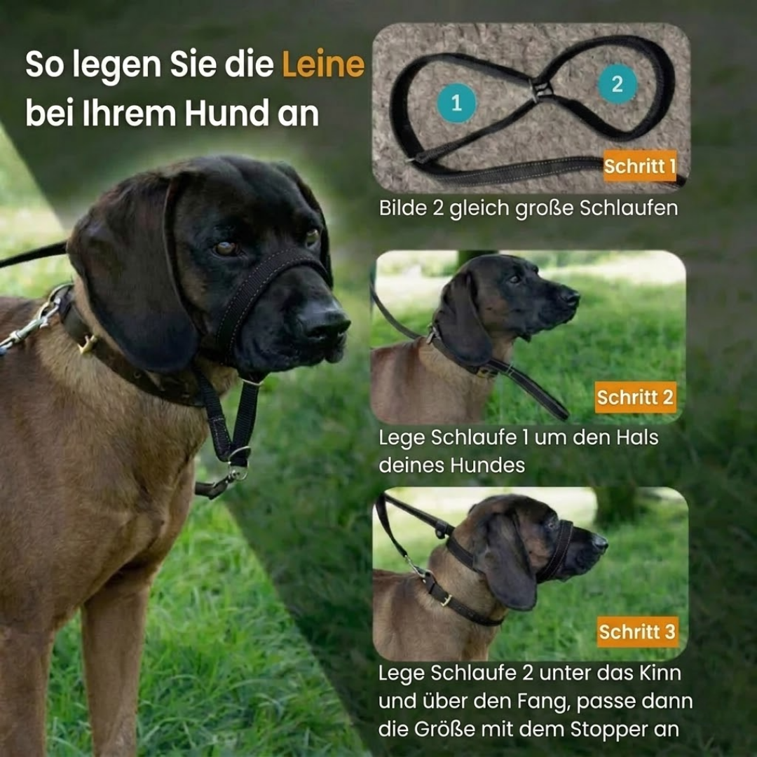 ZugStopp™ - Kein Zerren mehr — auch bei großen Hunden!