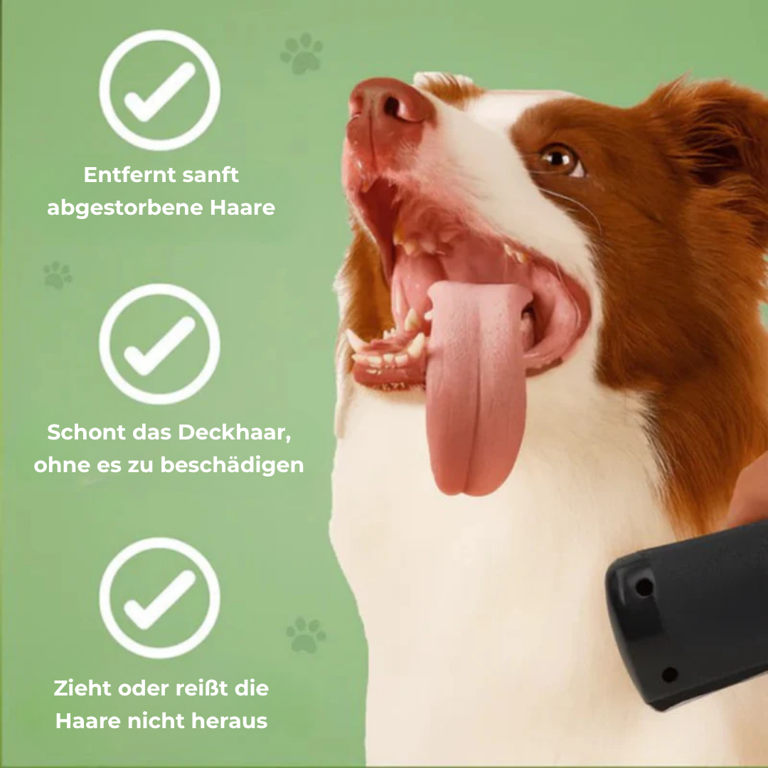 FellGlanz™ – Sanfte Pflege für ein gesundes und glänzendes Fell