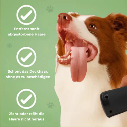 FellGlanz™ – Sanfte Pflege für ein gesundes und glänzendes Fell