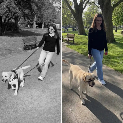 ZugStopp™ - Kein Zerren mehr — auch bei großen Hunden!