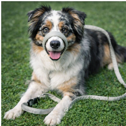 ZugStopp™ - Kein Zerren mehr — auch bei großen Hunden!