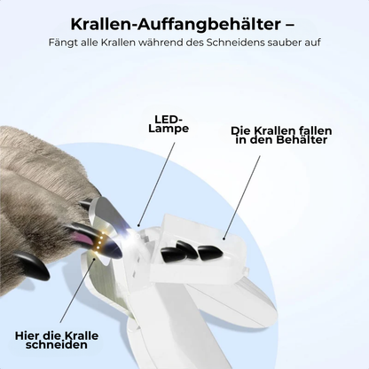 PfotenKlip™ – Sicheres Krallenschneiden mit LED-Licht