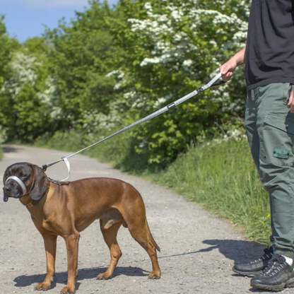ZugStopp™ - Kein Zerren mehr — auch bei großen Hunden!