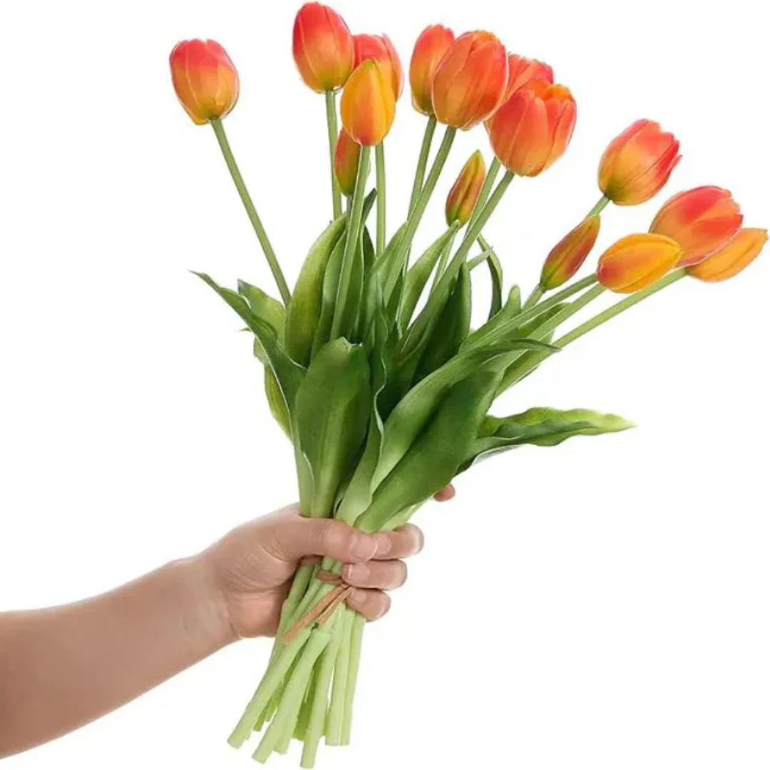 EwiTulpe™ - Wunderschöne Tulpen die niemals verwelken!