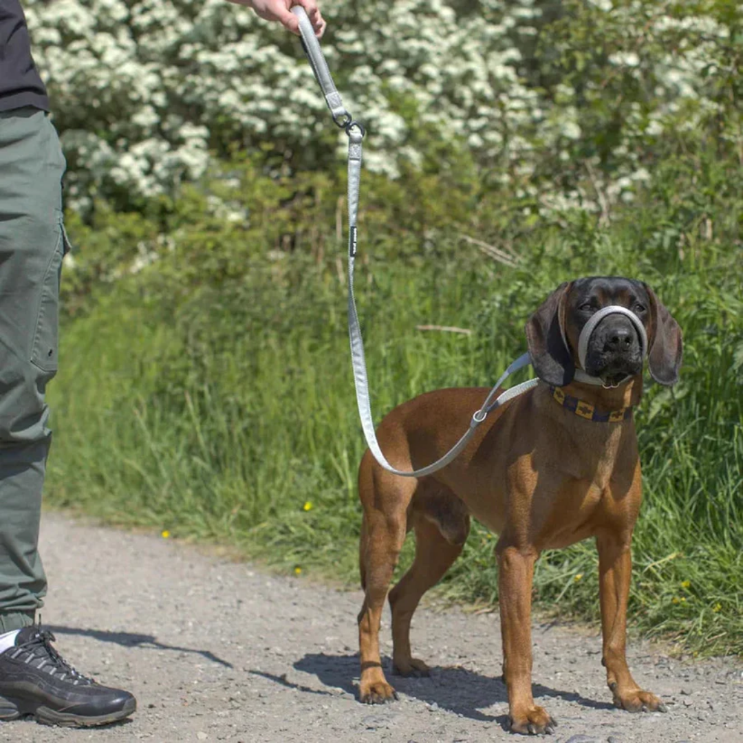 ZugStopp™ - Kein Zerren mehr — auch bei großen Hunden!