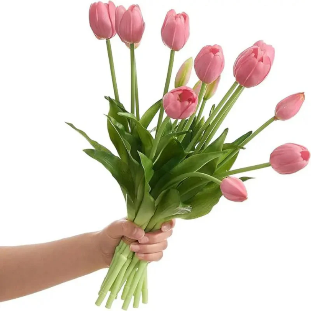EwiTulpe™ - Wunderschöne Tulpen die niemals verwelken!