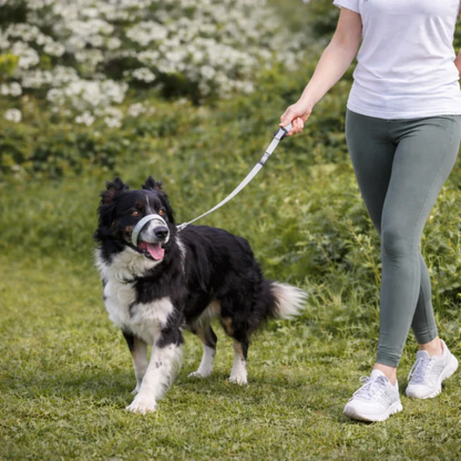 ZugStopp™ - Kein Zerren mehr — auch bei großen Hunden!