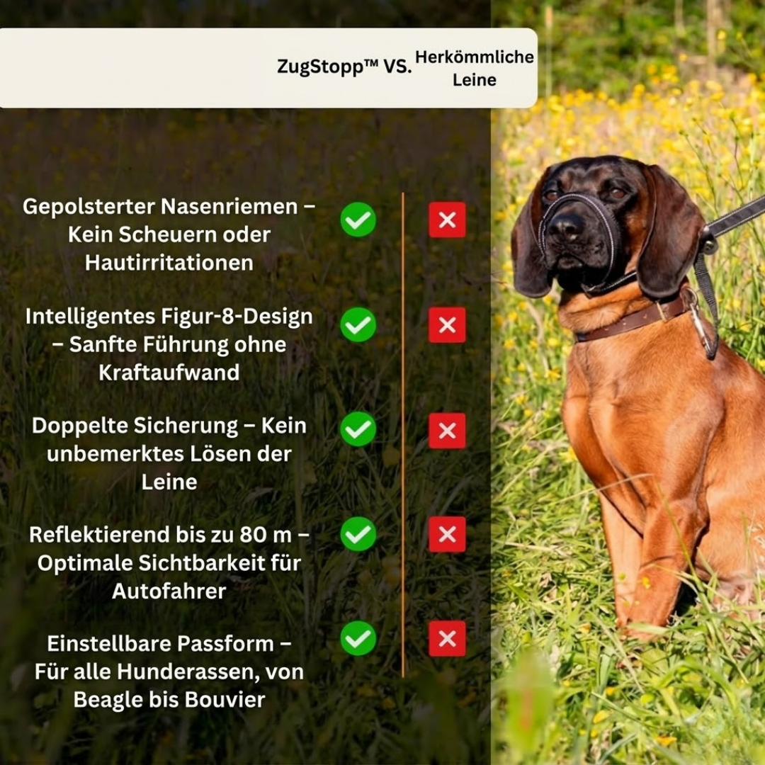 ZugStopp™ - Kein Zerren mehr — auch bei großen Hunden!